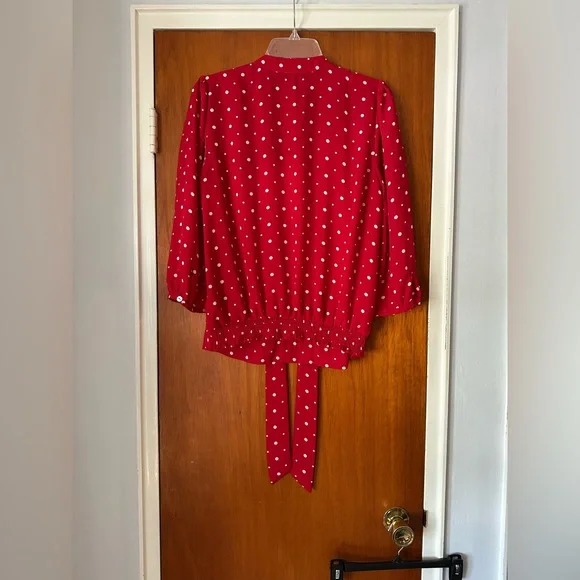 The Limited Scarlet Sheer Blouse with Ivory Polka Dots and Front Tie - Picture 7 of 8